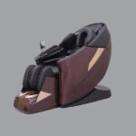 Elite Class (Massage Chair 6666) 5D